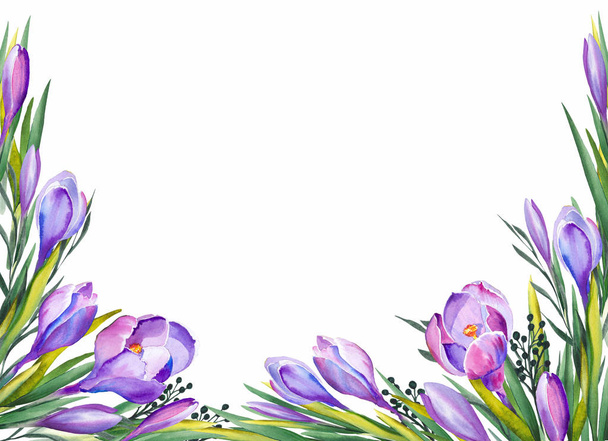 Purple crocus flowers for greeting cards. Watercolor on white background. - Foto, immagini