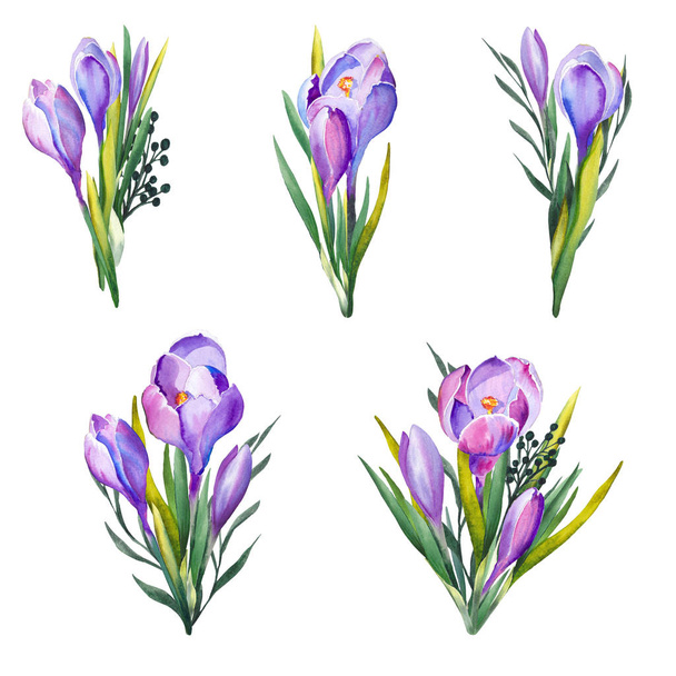 Set of purple crocus flowers on white background. Isolated elements for design. - Φωτογραφία, εικόνα