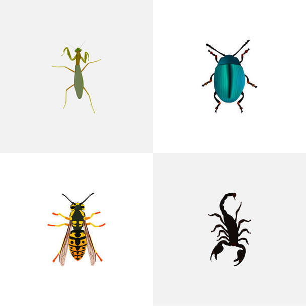 スティング、サソリ、昆虫、web モバイル アプリのロゴ デザインのため他のアイコンと昆虫のリアルな記号のセット. - ベクター画像