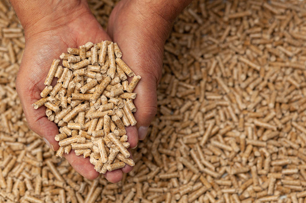 Biocombustible alternativo de pellets de madera aserrín en las manos
. - Foto, imagen