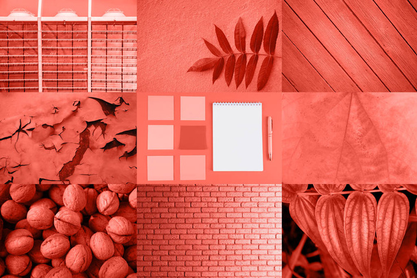 Collage sul colore del concetto 2019
. - Foto, immagini