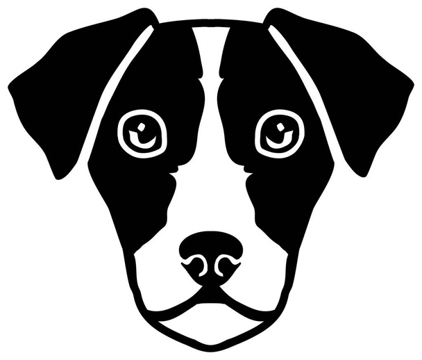 Jack Russell Terrier fej fekete-fehér - Vektor, kép