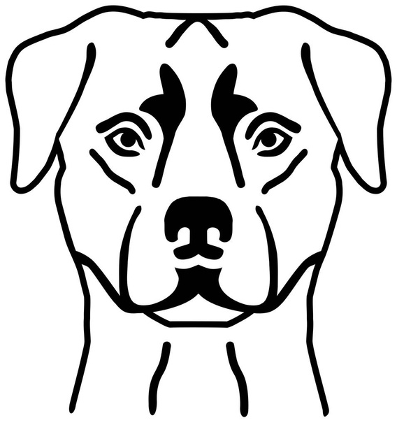 Rottweiler head black and white - Vector, Image