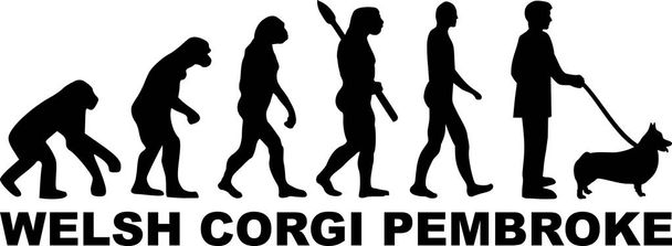 黒の言葉でウェルシュ ・ コーギー ・ ペンブロークの進化  - ベクター画像