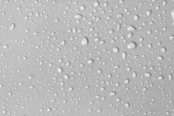 新鮮な灰色の背景の表面の抽象的な水ドロップ - 写真・画像