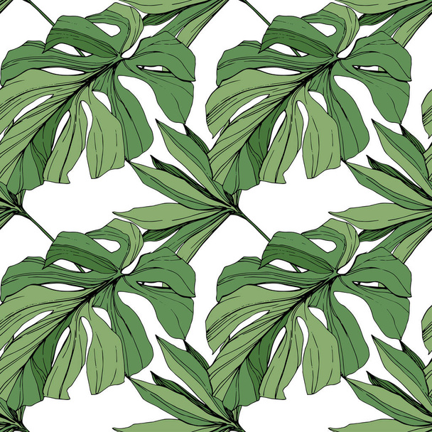Διάνυσμα πράσινο φύλλο φυτών κήπου floral φύλλωμα. Χαραγμένο μελάνι τέχνης. Palm beach δέντρο φύλλα. Απρόσκοπτη υπόβαθρο μοτίβο. - Διάνυσμα, εικόνα