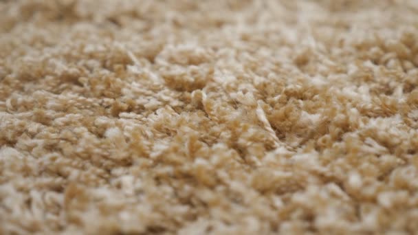 Long pile carpet texture - Footage, Video