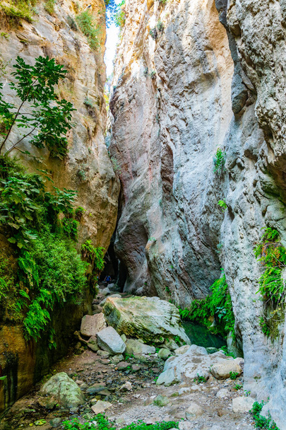 Avakas gorge on Cypru - Фото, изображение