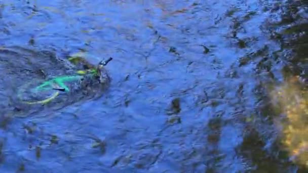 zielony i żółty rower siedzący pod wodą abandonded w rzece w sezonie letnim - Materiał filmowy, wideo
