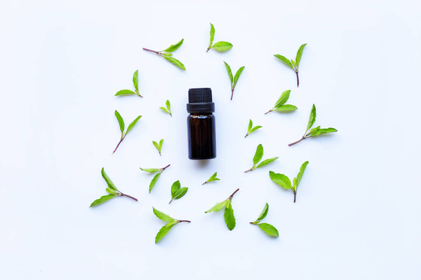 Santo aceite esencial de albahaca en una botella de vidrio con hojas de albahaca fresca
  - Foto, Imagen