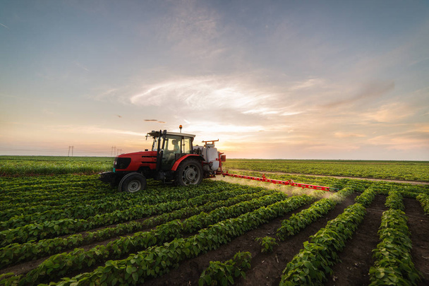 Tractor rociando un campo de soja
 - Foto, Imagen