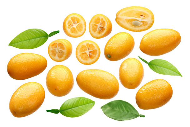 Kumquats (Citrus japonica) entiers, tranchés et coupés en deux, feuilles - Photo, image
