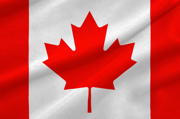 Bandera de Canadá ilustración, bandera canadiense
 - Foto, Imagen
