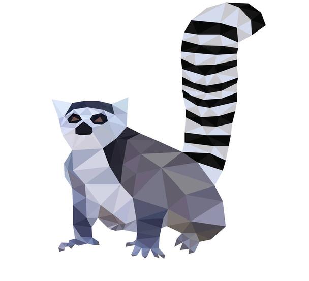 Polygonal africa wild lemur - Vektör, Görsel