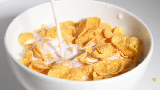 Corn flakes and milk pouring into white ceramic bowl - Footage, Video
