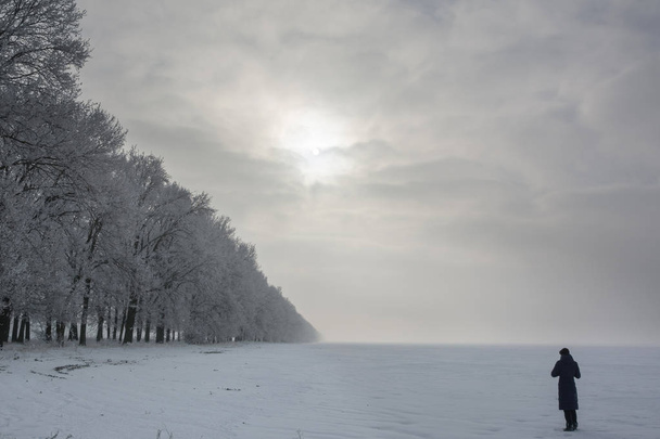 Magányos nő nézi a nap, a hó mező sor fagyos tölgyesek - Fotó, kép
