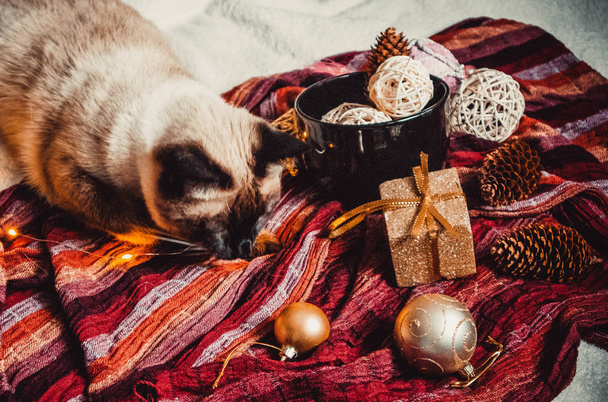 Weihnachtsschmuck in einer großen schwarzen Tasse und siamesische Katze auf dem Hintergrund eines warmen und weichen karierten - Foto, Bild