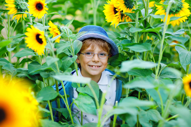 Adorable petit garçon blond avec des lunettes et un chapeau sur le champ de tournesol d'été à l'extérieur. Mignon enfant d'âge préscolaire s'amusant lors d'une chaude soirée d'été au coucher du soleil. Enfants et nature. - Photo, image