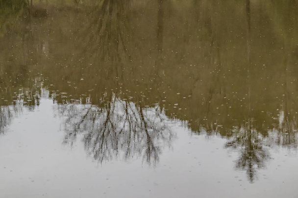 Reflections en regendruppels op de vijver in de natuur - Foto, afbeelding