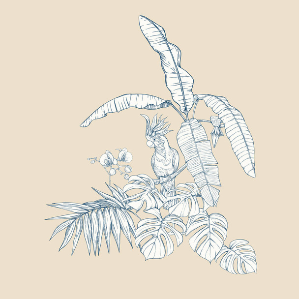 A composition of tropical plants, palm leaves, monsters and white orchids with cockatoo parrot In botanical style. Graphic drawing, engraving style. vector illustration.  In blue and beige colors. - Vektori, kuva