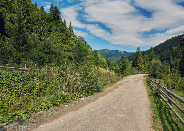 zusammengesetzte Landschaft. Zaun in der Nähe der Kreuzung auf Hangwiese in den Bergen. wenige Tannenbäume am Wegesrand - Foto, Bild
