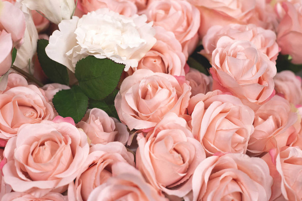 tekstura tło z piękne różowe i białe róże z bliska - Zdjęcie, obraz