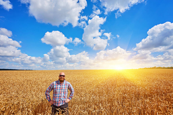 農夫は小麦畑に立って、作物を見て - 写真・画像