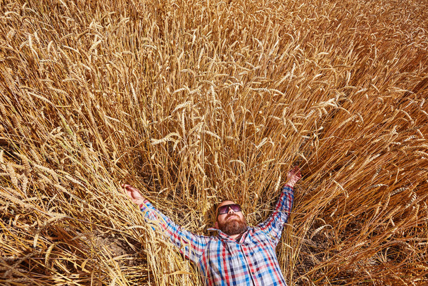 Фермер стоїть на пшеничному полі, дивлячись на врожай
 - Фото, зображення
