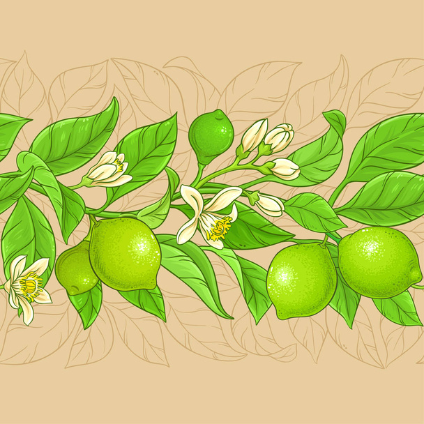 lime vector pattern on color background - Vector, Image