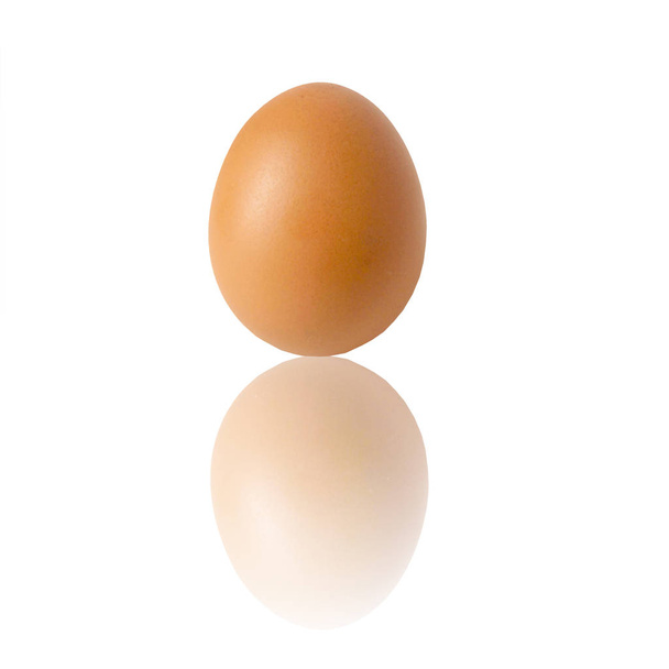 chicken egg and shadow on white background - Photo, Image