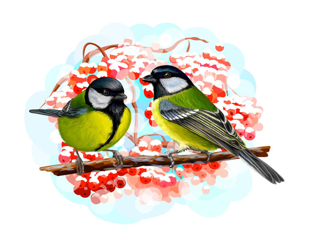 Tit birds sitting on a branch on white background, hand drawn sketch - Вектор,изображение
