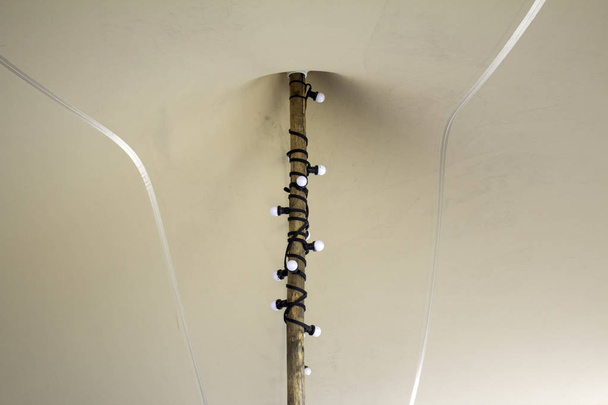Ampoules suspendues, système d'éclairage et de décoration - Photo, image