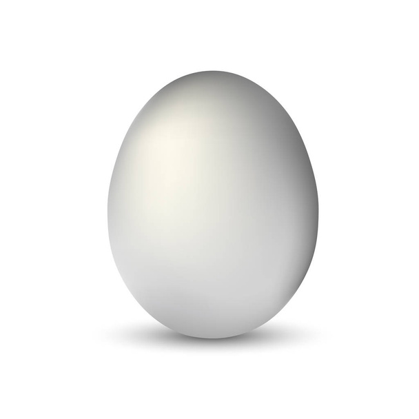 белое единственное реалистичное яйцо животных, изолированное мягкой тенью на белом фоне
 - Вектор,изображение
