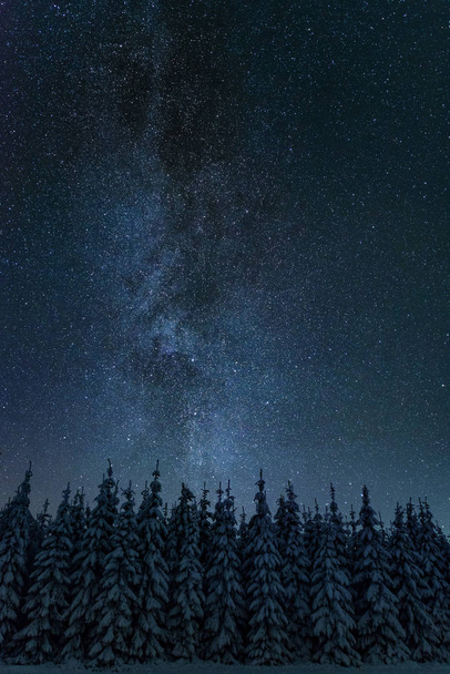 Paisaje nocturno de invierno con cielo estrellado en Finlandia
 - Foto, Imagen
