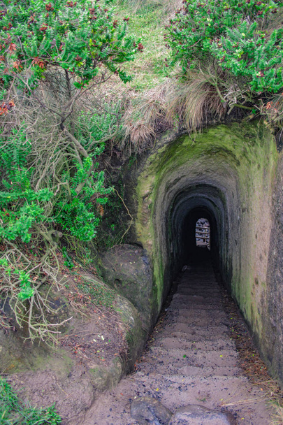le tunnel de Tunnel Beach walkway, près de Dunedin, Otago, South Island, Nouvelle-Zélande
 - Photo, image