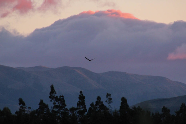 mountain landscape during sunrise near Methven in Canterbury, South Island, New Zealand - Foto, Imagem