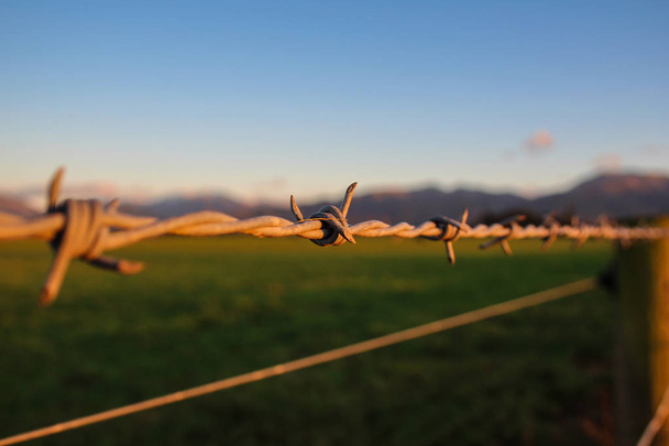 barbwire marca frontera de tierras de cultivo, Nueva Zelanda
 - Foto, Imagen