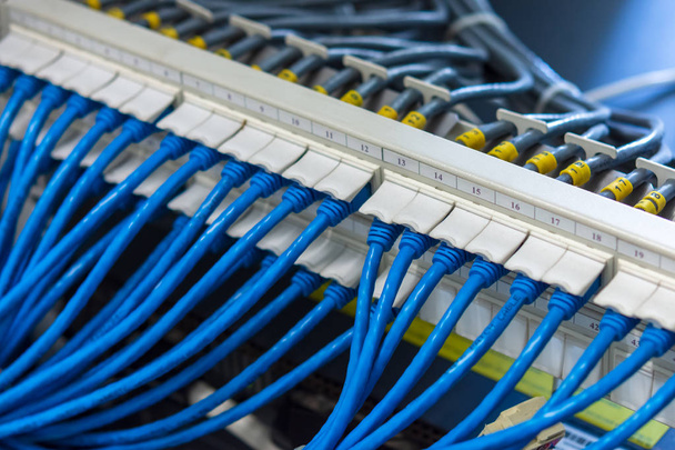 Sistema de cableado de red, panel de conexión UTP con cables conectados
 - Foto, Imagen