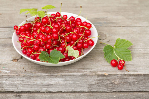 white plate of red currant on wooden background in a summer garden. - Photo, Image