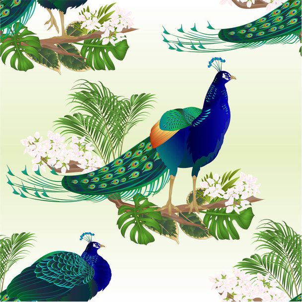 Seamless texture Peacocks beauty exotic birds natural and tropical flowers watercolor vintage vector illustration editable hand drawn  - Vector, Image