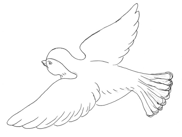 Sparrow bird sketch - Foto, afbeelding