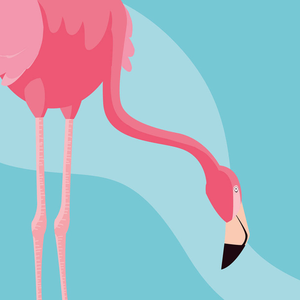 красивый стенд фламинго
 - Вектор,изображение