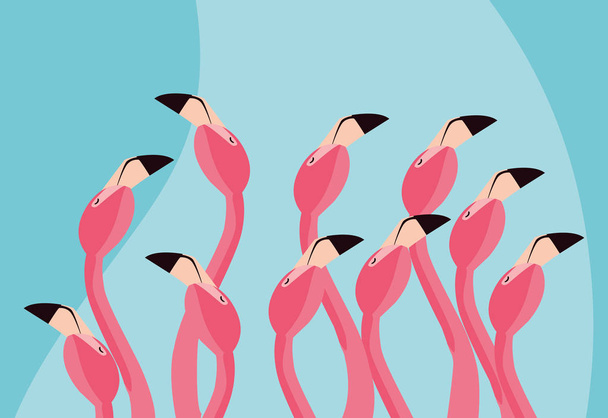 Głowice stada ptaków piękne flamingi - Wektor, obraz