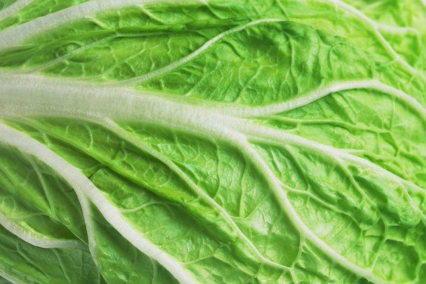 leaf of fresh chinese cabbage or napa cabbage texture, studio macro shot, close up - Foto, Imagen