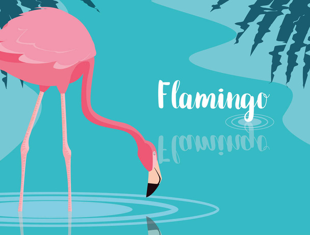 güzel flamingo kuşu stand peyzaj - Vektör, Görsel