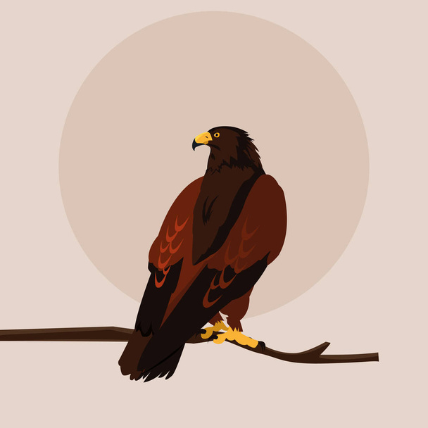 imposante hawk in de branche - Vector, afbeelding