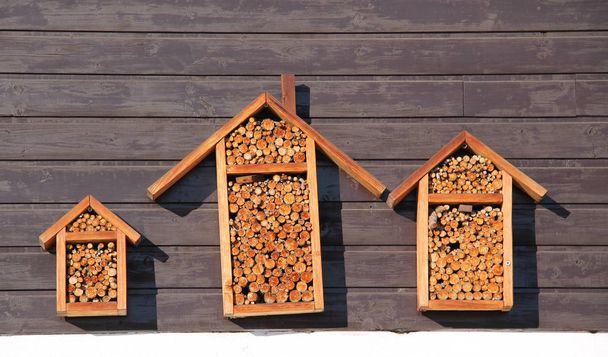 ωραία ξύλινα εντόμων ξενοδοχεία για διάφορα είδη εντόμων στον τοίχο ενός εξοχικού σπιτιού - Φωτογραφία, εικόνα