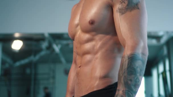 ジムで筋肉の男性のスポーツの体を閉じる - 映像、動画