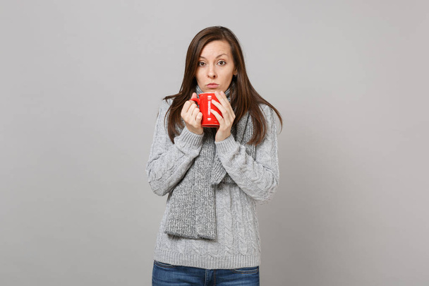 灰色のセーターの若い女性は、スカーフは、コーヒーまたは紅茶スタジオで背景を灰色の壁で隔離の赤カップを保持します。健康的なファッションのライフ スタイルの人々 の誠実な感情、寒い季節の概念。コピー スペースをモックアップします。 - 写真・画像