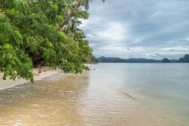 Leaning trees above the sea and the beach, rainy day. El Nido, Palawan, Philippines. August 2018. - 写真・画像